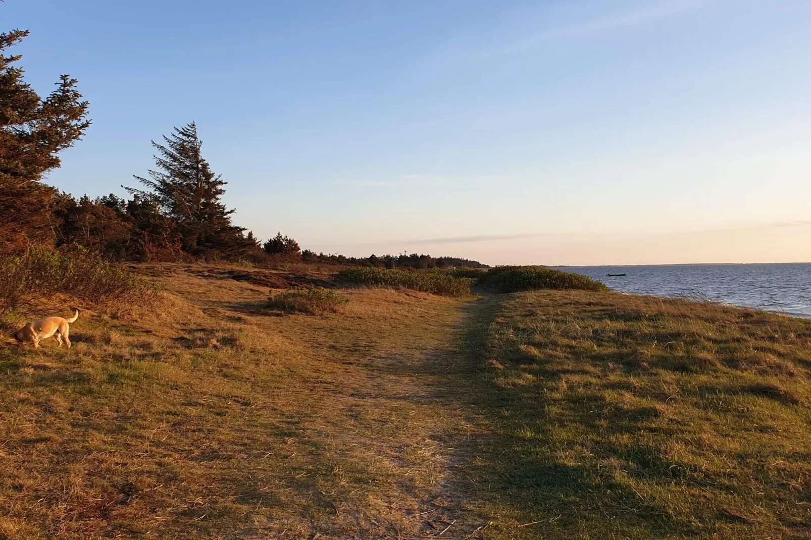 8 persoons vakantie huis in Hemmet-Waterzicht