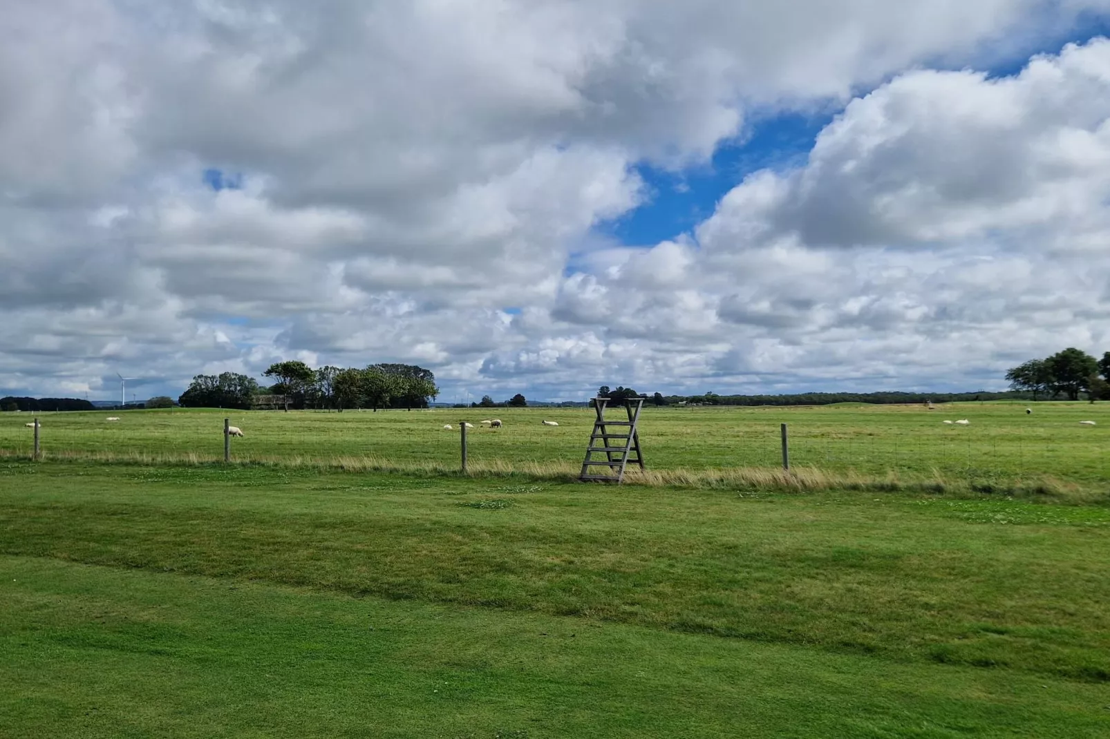 3 persoons vakantie huis in FALKENBERG-By Traum-Niet-getagd