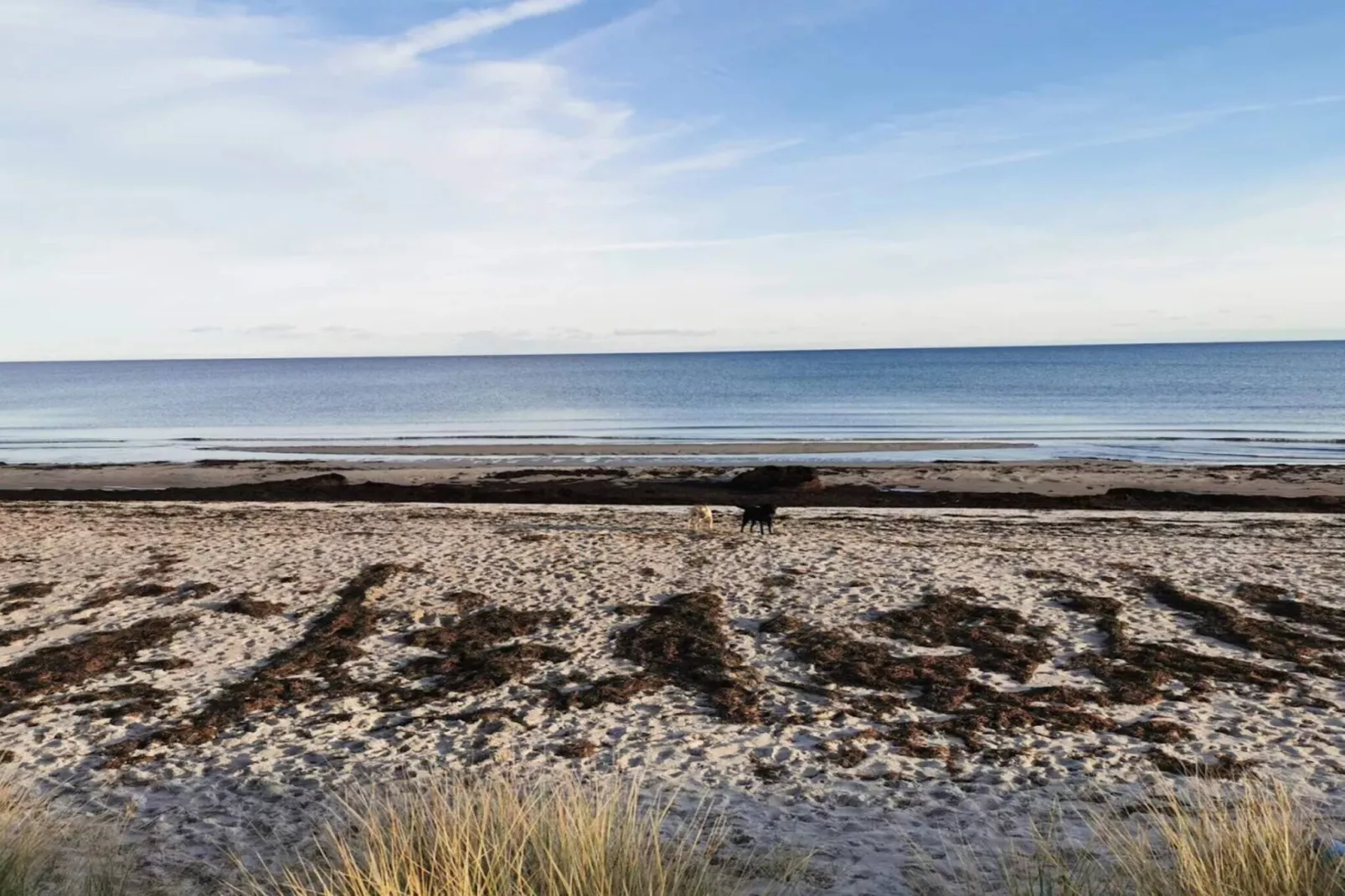 3 room,close to the sea/dike,renovate-Waterzicht