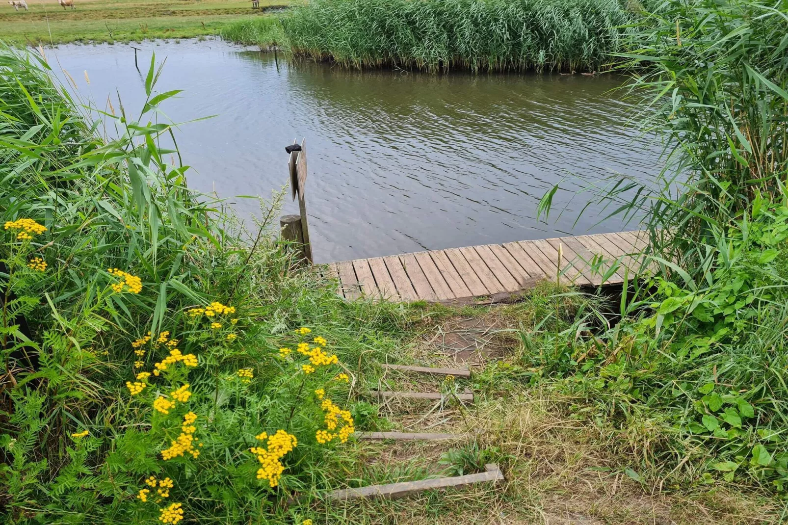 Vakantiehuis in Sæby vlakbij het strand-Waterzicht
