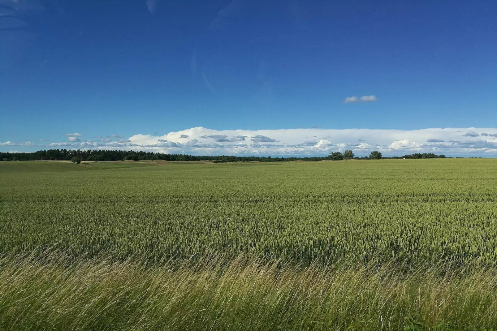 6 persoons vakantie huis in DEGEBERGA-By Traum-Niet-getagd