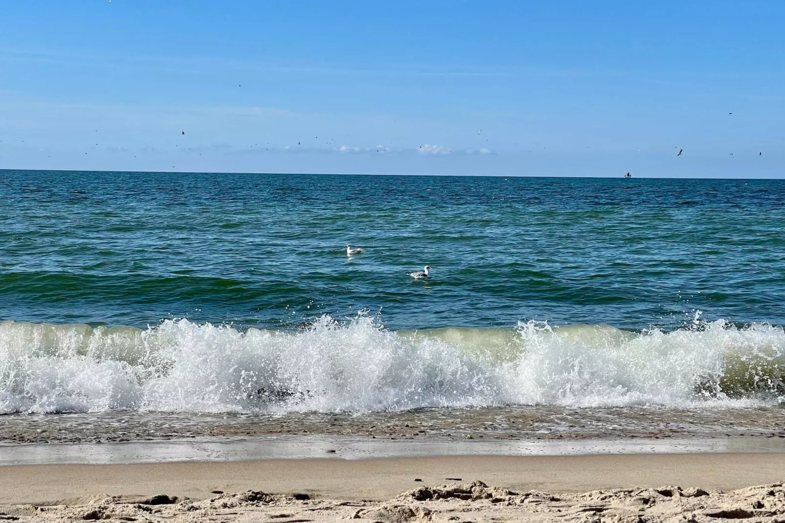 Kust ontsnapping met uitzicht -- By Traum Ferienwohnungen-Waterzicht
