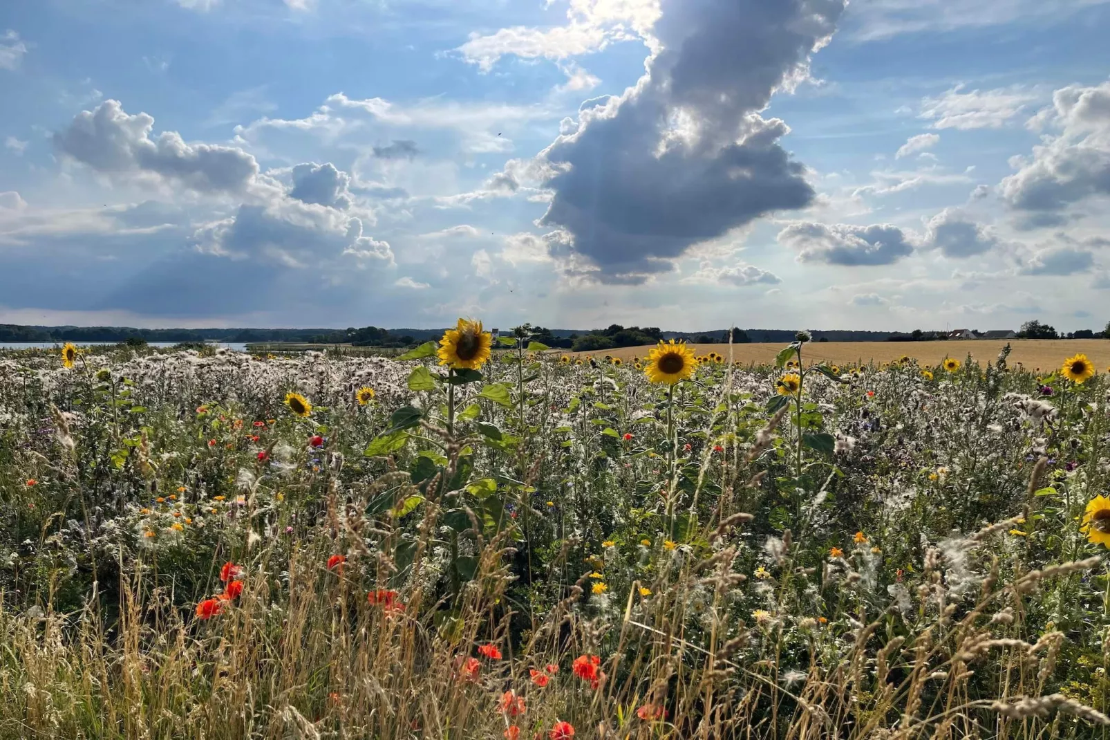 6 persoons vakantie huis in Præstø-By Traum-Niet-getagd