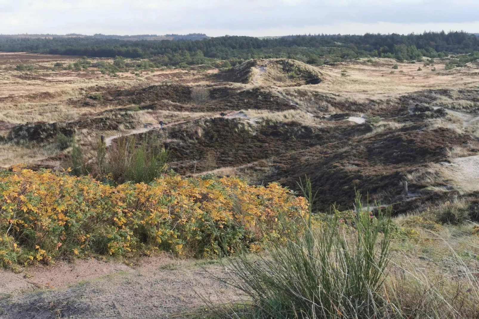 7 persoons vakantie huis in Henne-By Traum-Niet-getagd