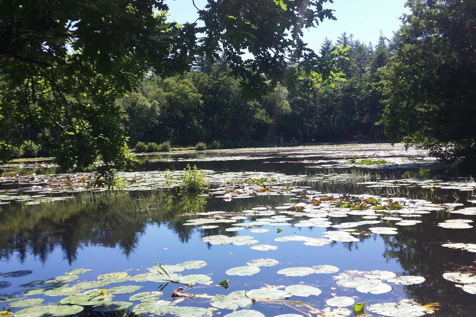 5 persoons vakantie huis in Skagen-By Traum-Waterzicht