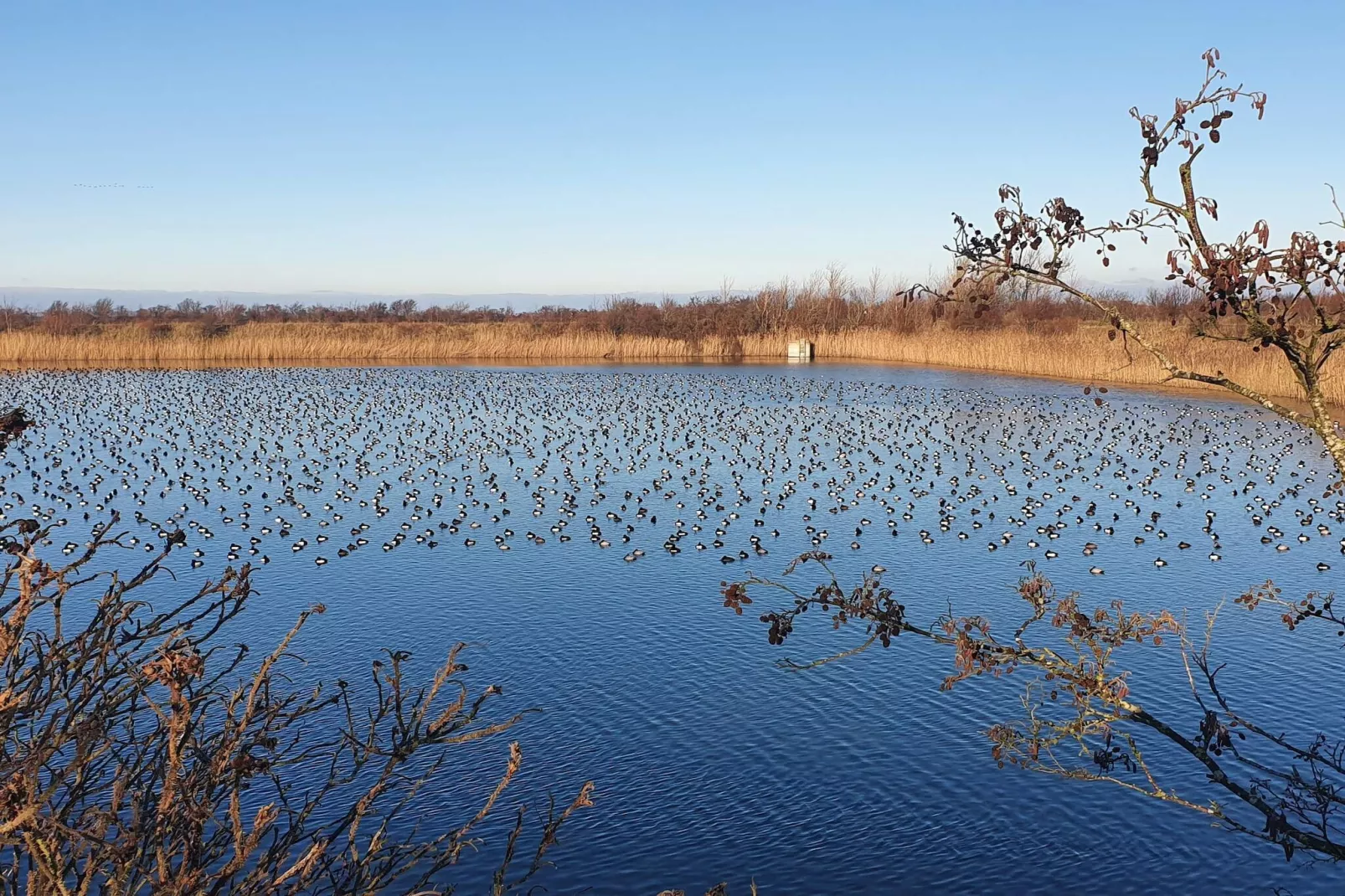 7 persoons vakantie huis in Stege-By Traum-Waterzicht