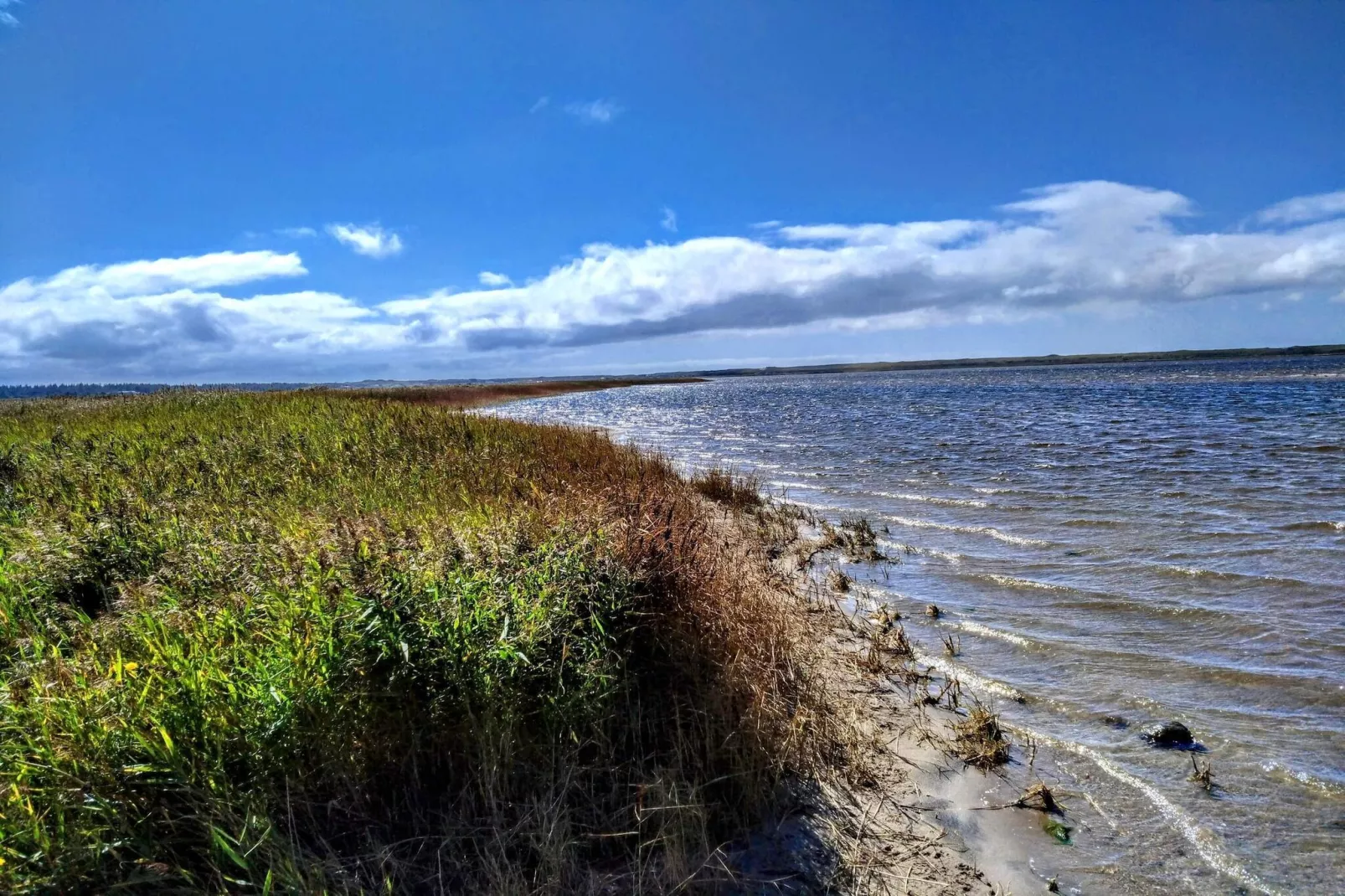 8 persoons vakantie huis in Ulfborg-Waterzicht