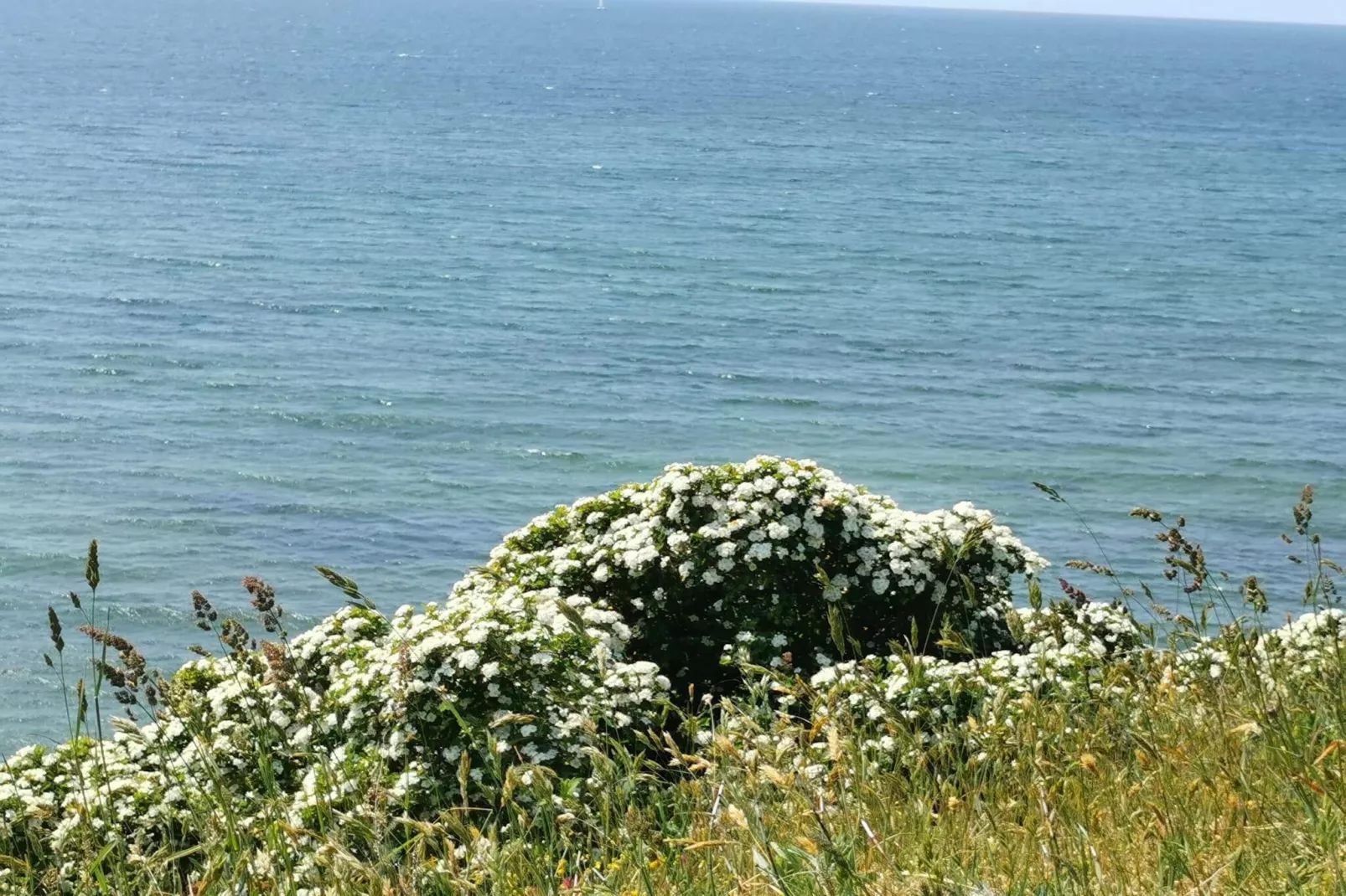 6 persoons vakantie huis in Humble-By Traum-Waterzicht