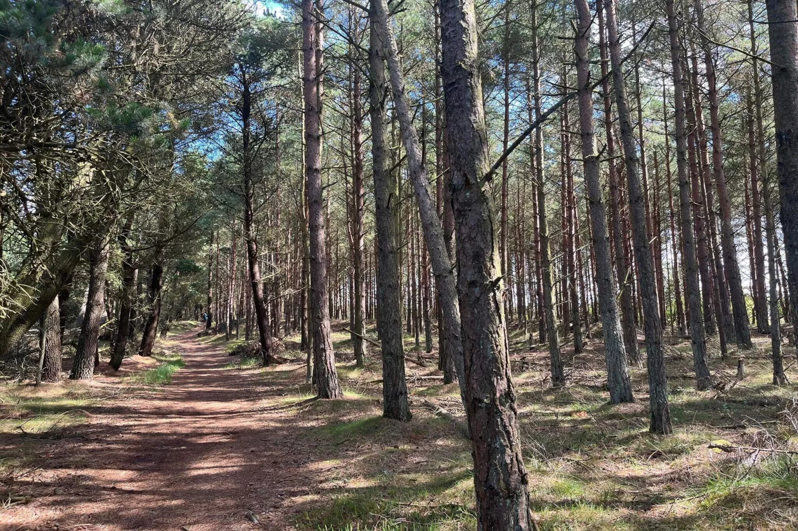 6 persoons vakantie huis in Rømø-By Traum-Niet-getagd