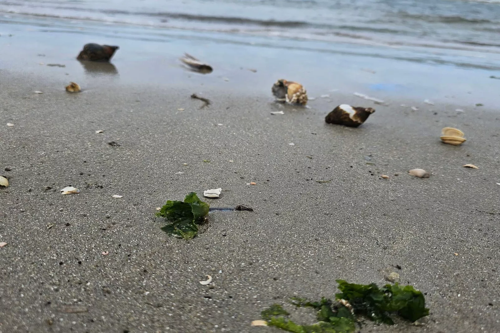 Kustcharme in Sonderho -- By Traum Ferienwohnungen-Waterzicht