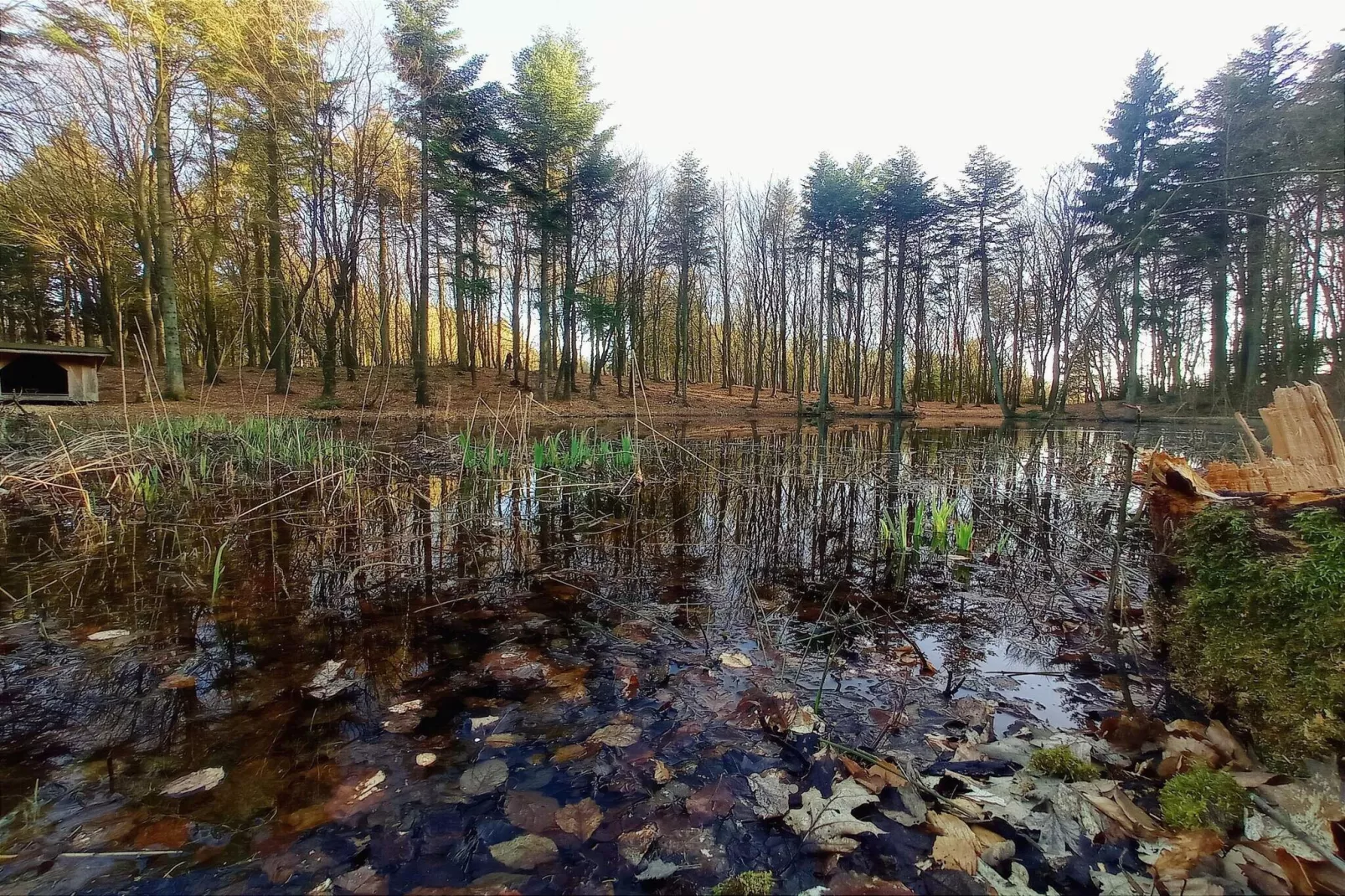 8 persoons vakantie huis in Vestervig-Waterzicht
