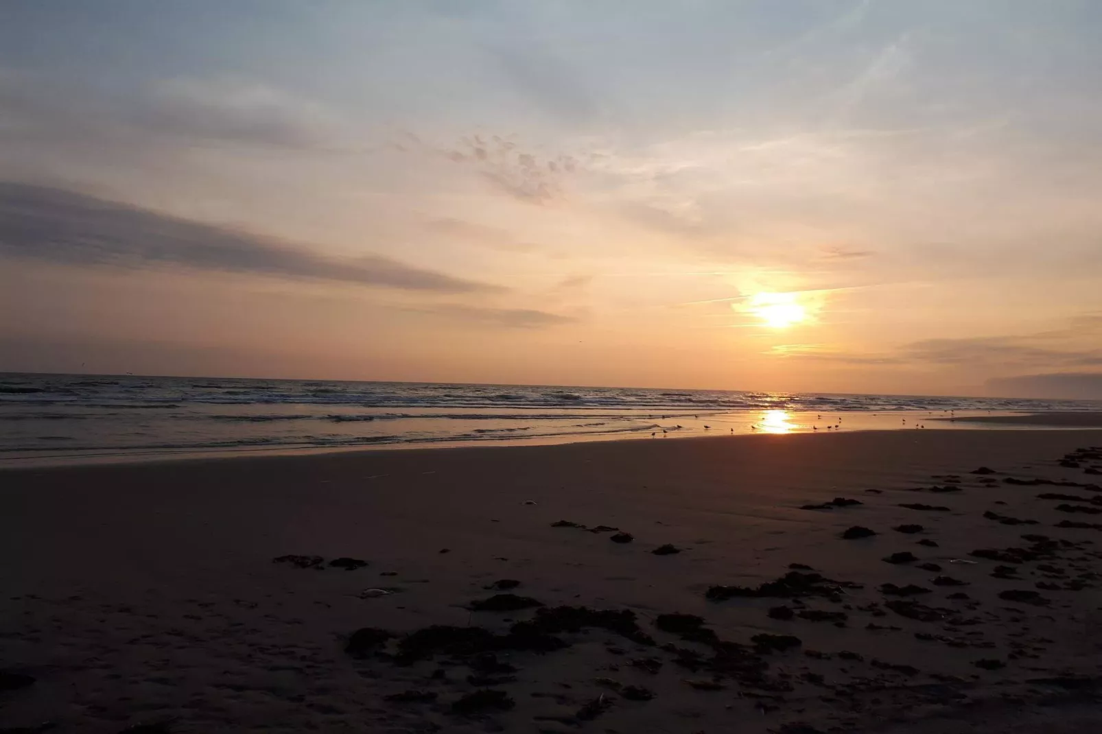 4 persoons vakantie huis in Fanø-By Traum