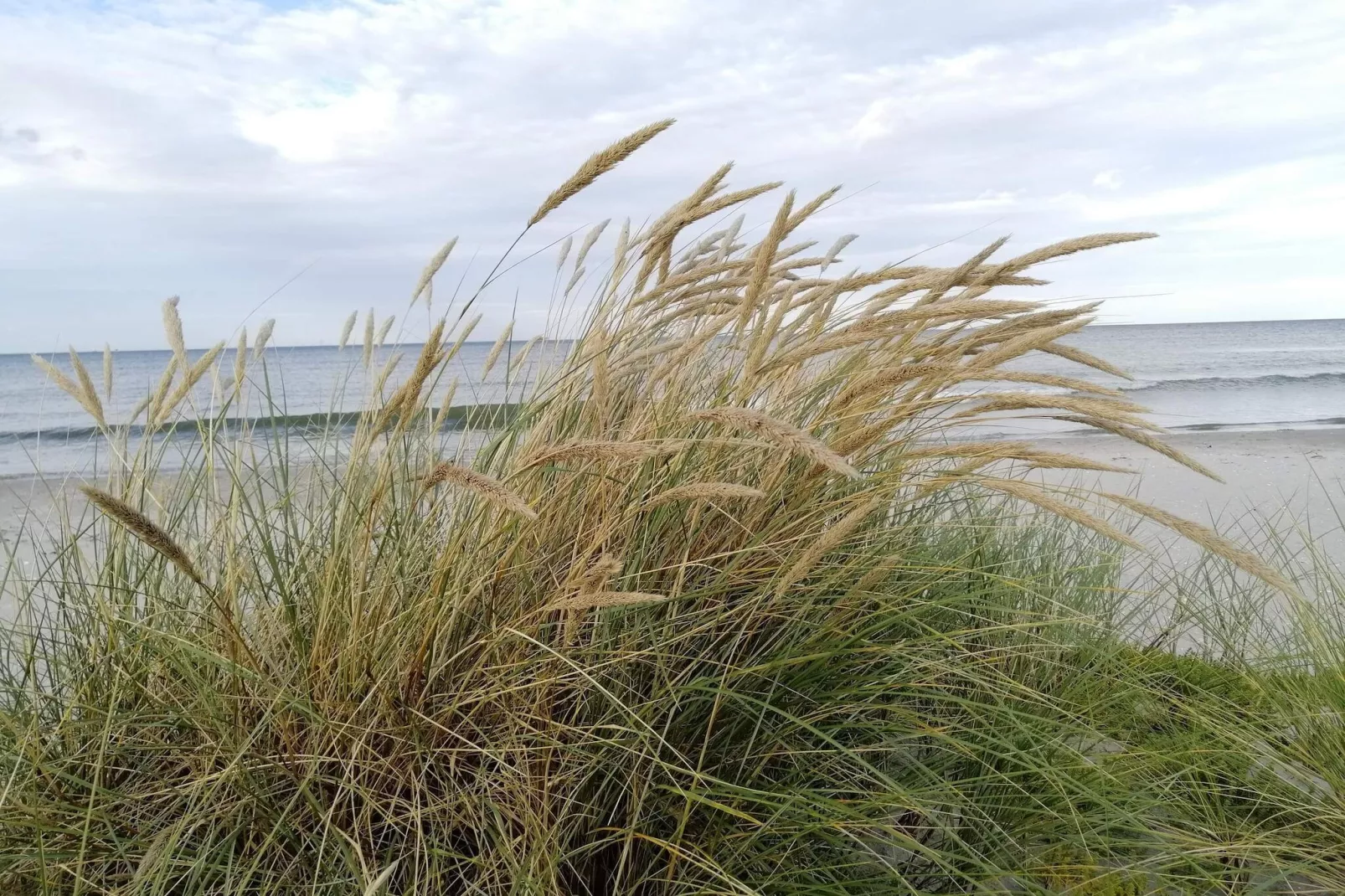 5 persoons vakantie huis in Strandby-By Traum-Waterzicht