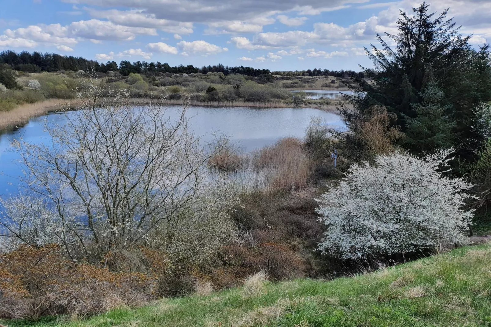 6 persoons vakantie huis in Pandrup-Waterzicht