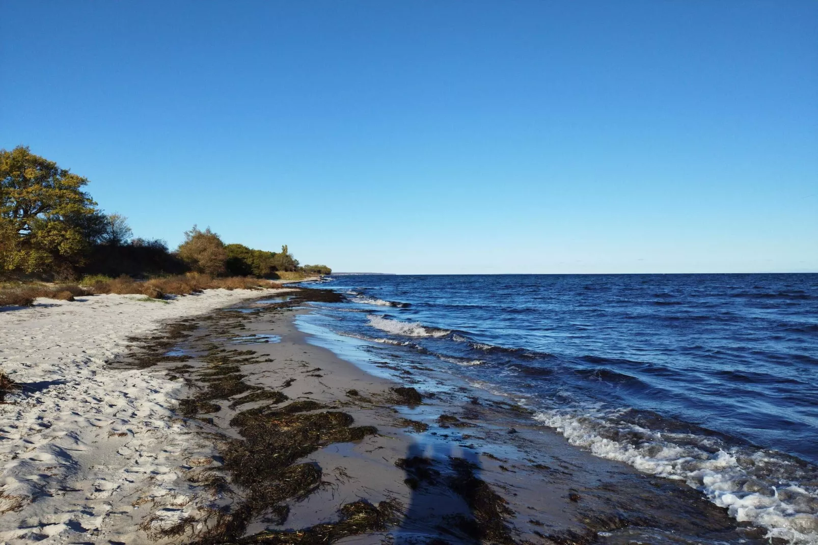 12 persoons vakantie huis in Idestrup-Waterzicht