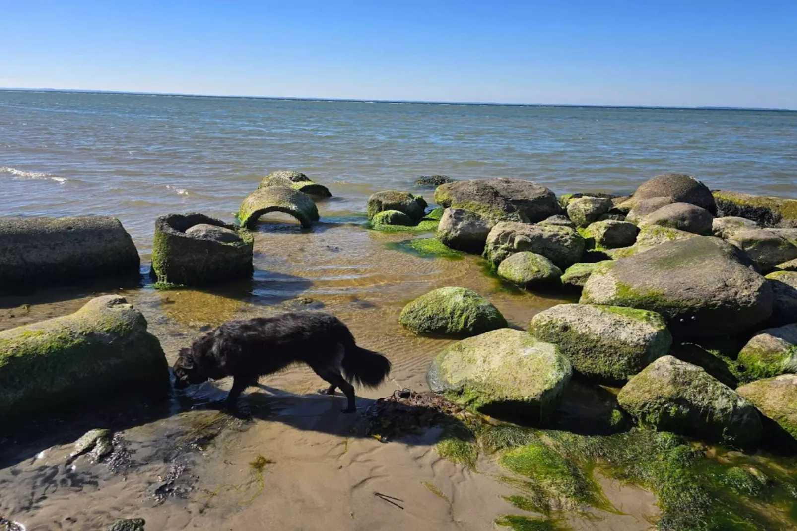 Luxe retraite in Als -- By Traum Ferienwohnungen-Waterzicht