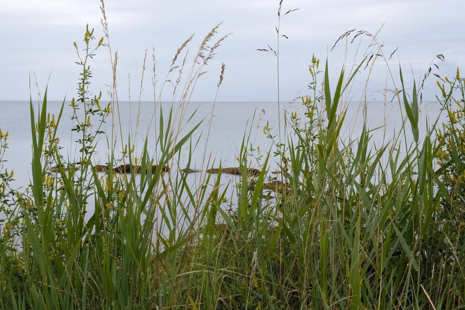 6 persoons vakantie huis in Juelsminde-By Traum-Waterzicht