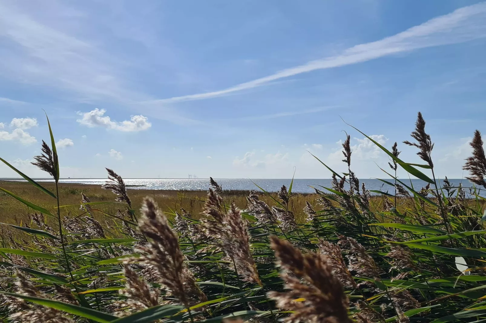 Moderne kusttoevlucht -- By Traum Ferienwohnungen-Niet-getagd