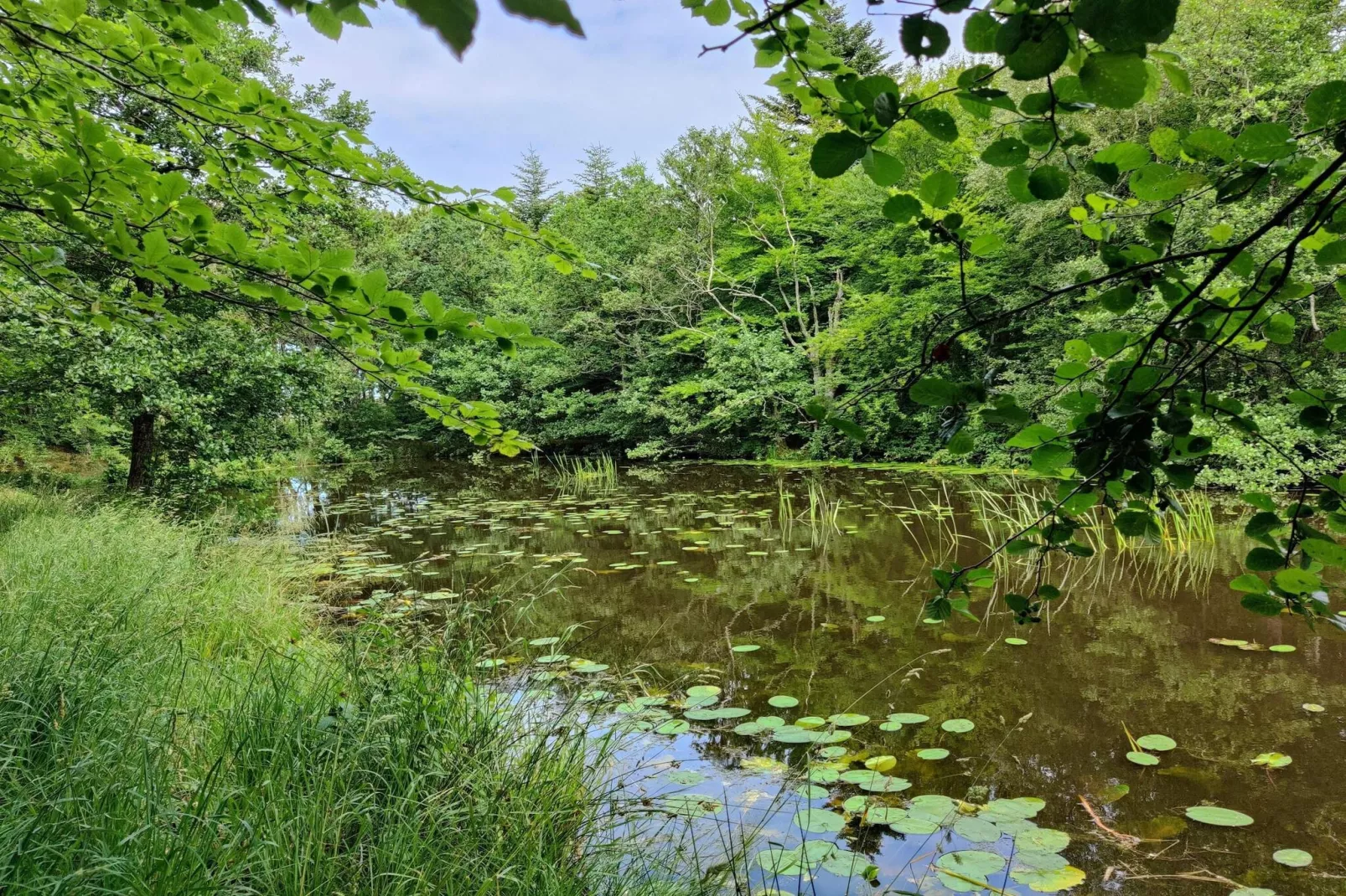 10 persoons vakantie huis in Ålbæk-By Traum-Waterzicht