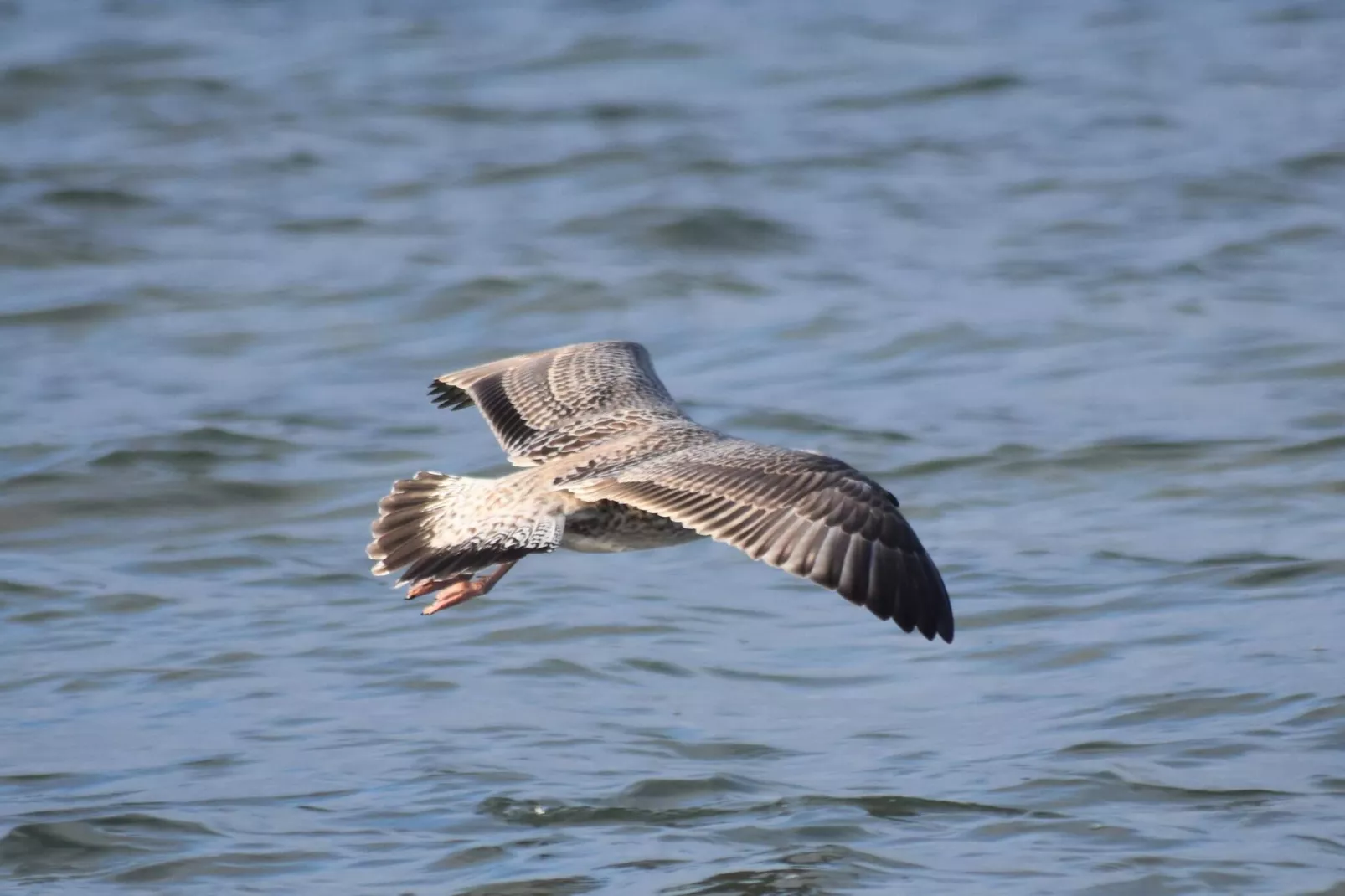 8 persoons vakantie huis in Knebel-By Traum-Waterzicht