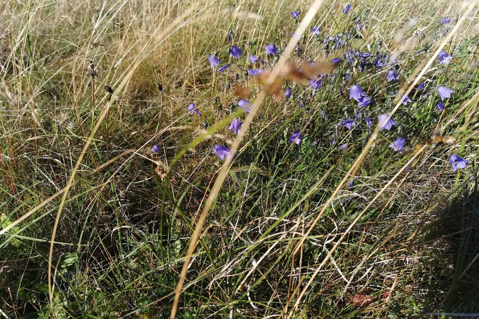 4 persoons vakantie huis in Skjern-By Traum-Niet-getagd