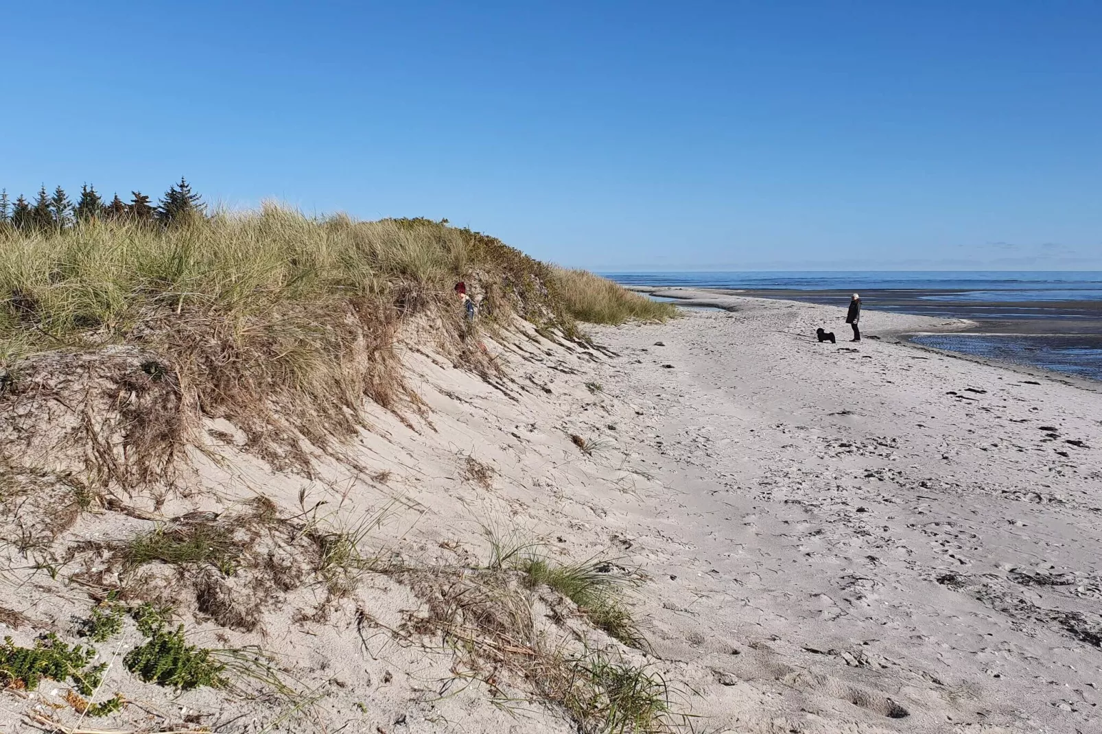 6 persoons vakantie huis in Storvorde-By Traum-Waterzicht