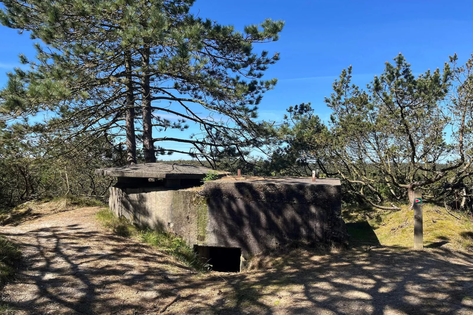 4 persoons vakantie huis in Oksbøl-By Traum-Niet-getagd