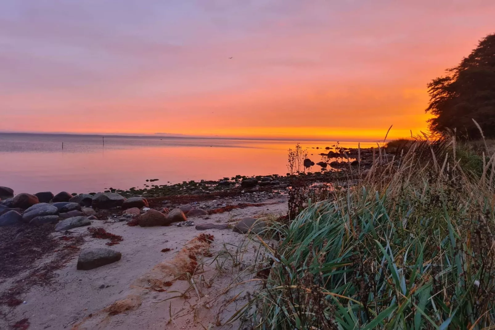 6 persoons vakantie huis in Hejls-By Traum