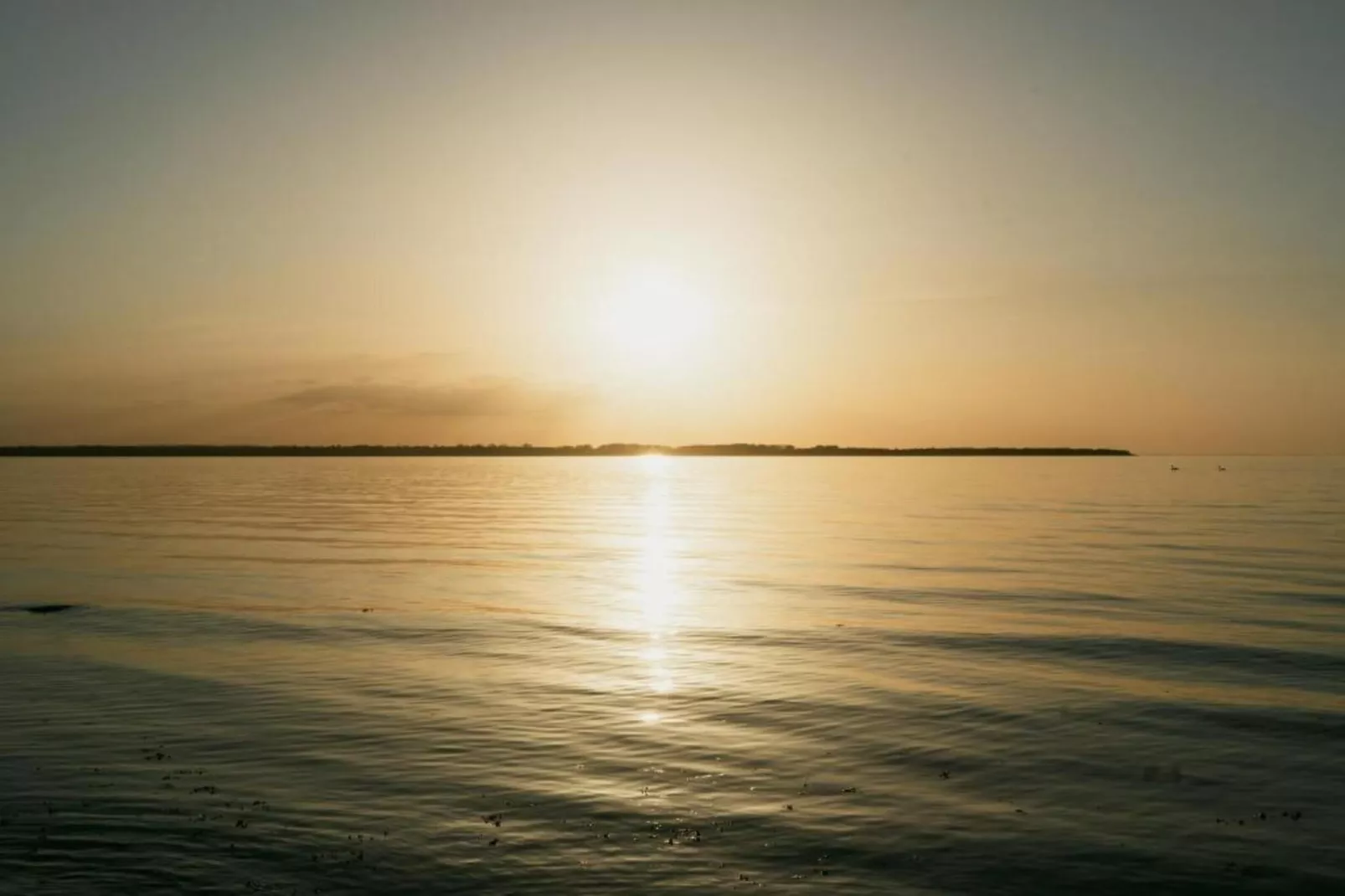 Strandhaus an der Wiek in Strandlage-Gebieden zomer 20km
