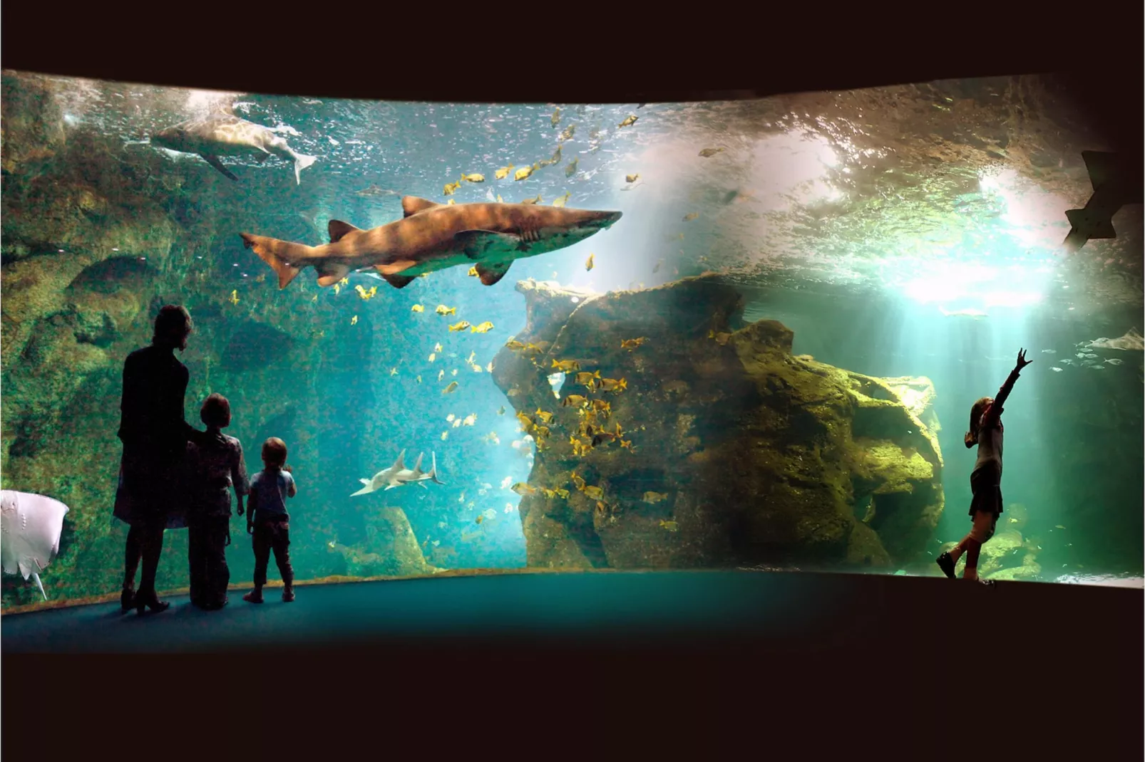 Bourg Est   4-Gebieden zomer 20km