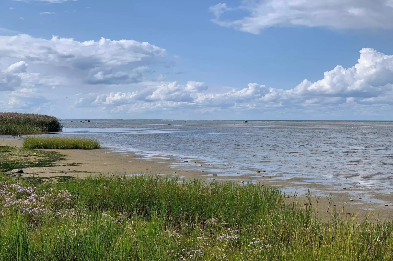 Zonnig toevluchtsoord in Bonnerup Haven-By Traum-Waterzicht