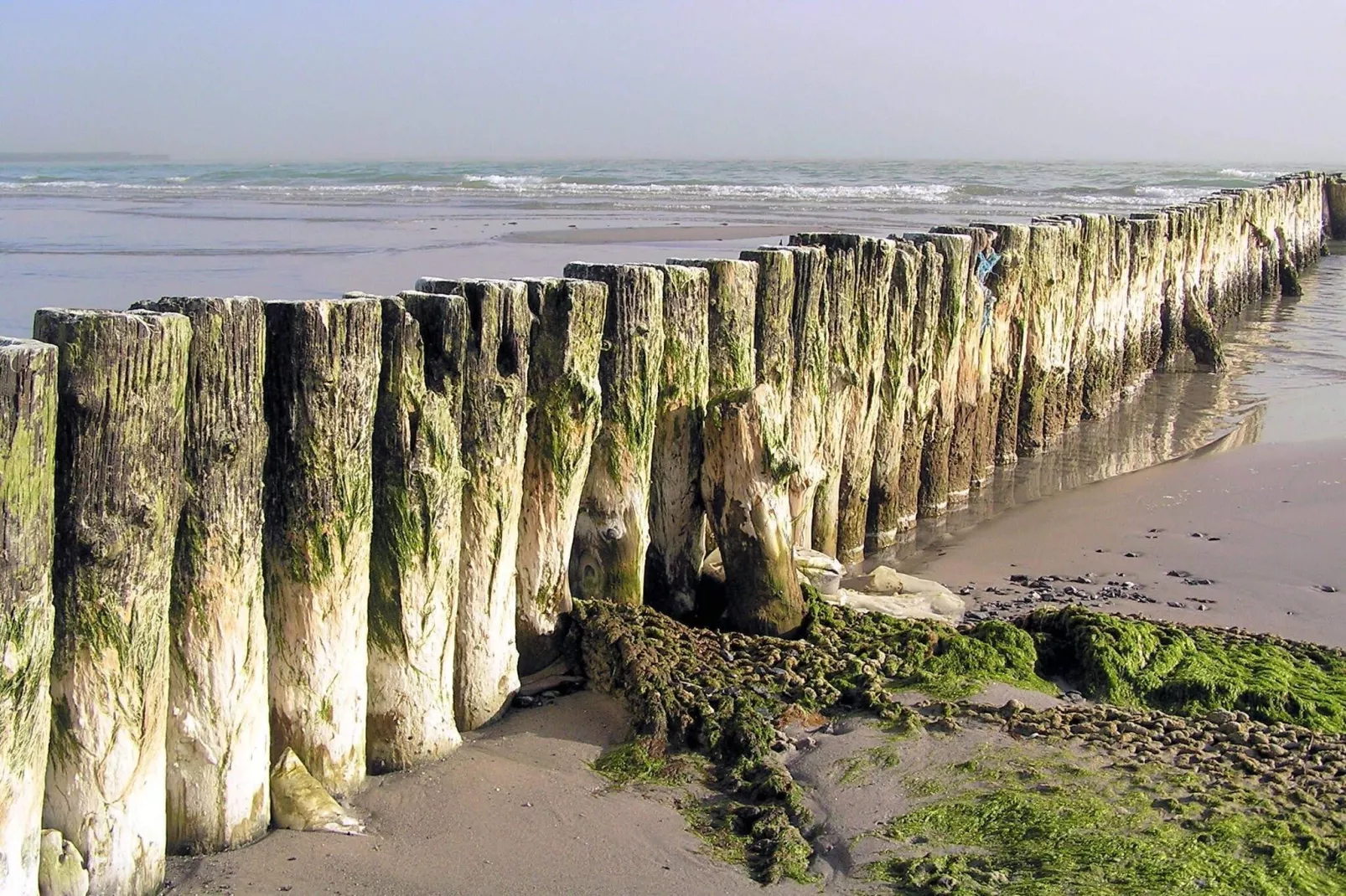 6 persoons vakantie huis in Stege-Waterzicht