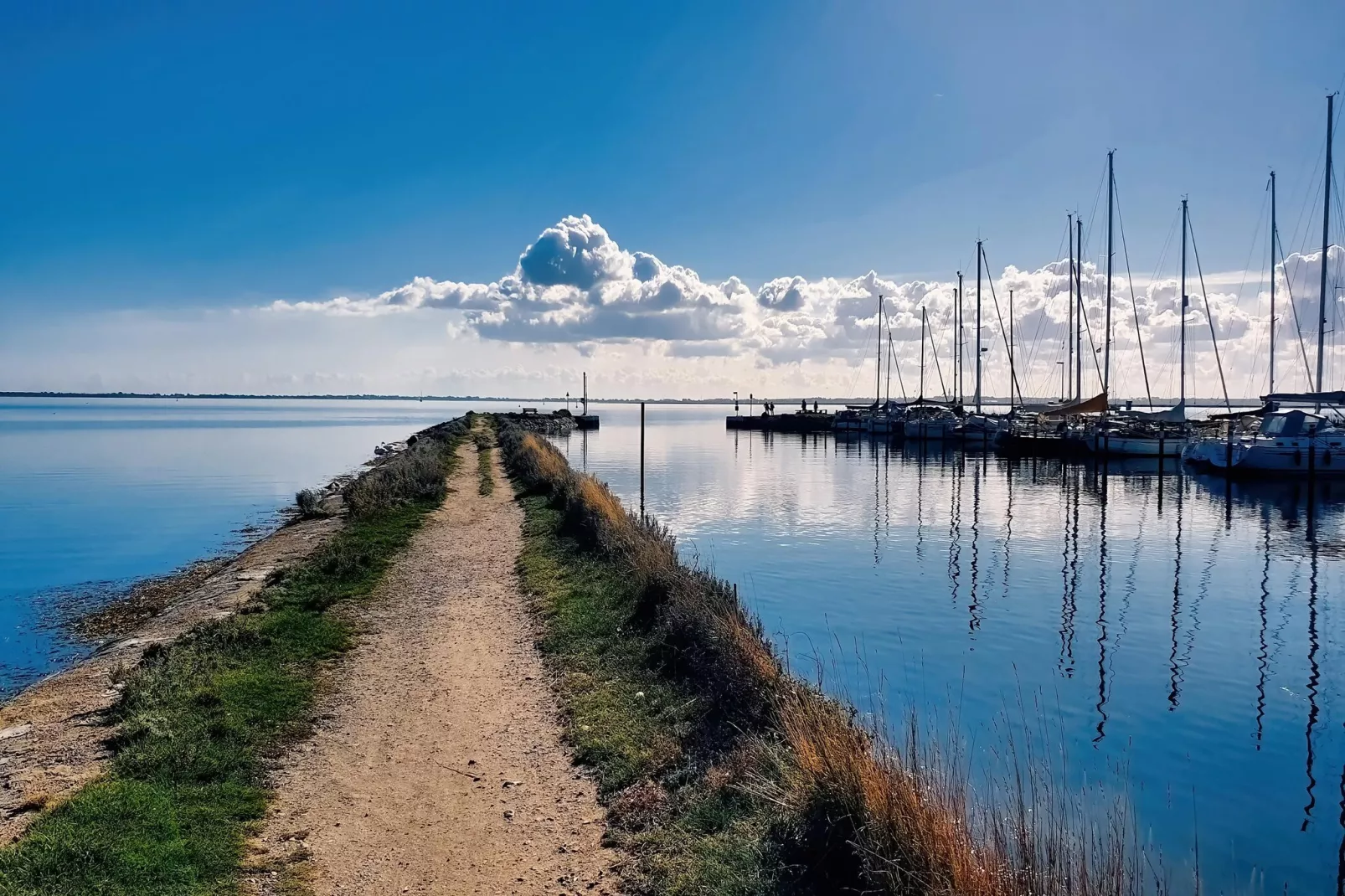 FeWo EG E-37-Gebieden zomer 1km