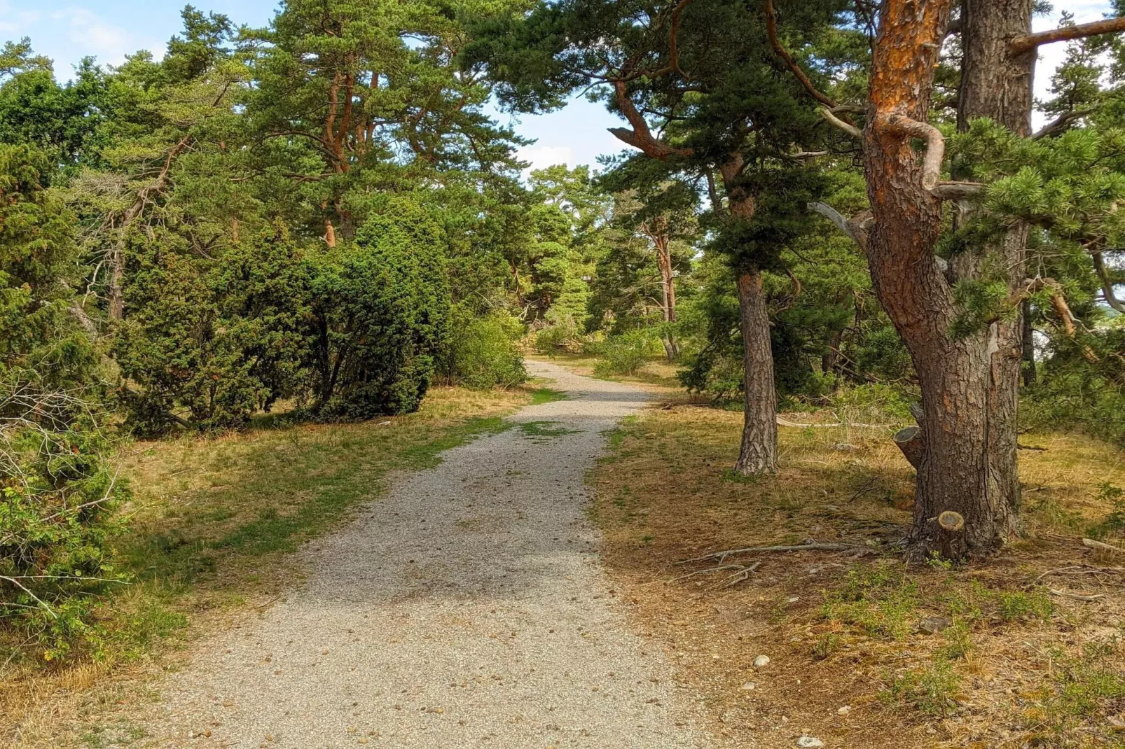 5 persoons vakantie huis in HALTORP-By Traum-Niet-getagd