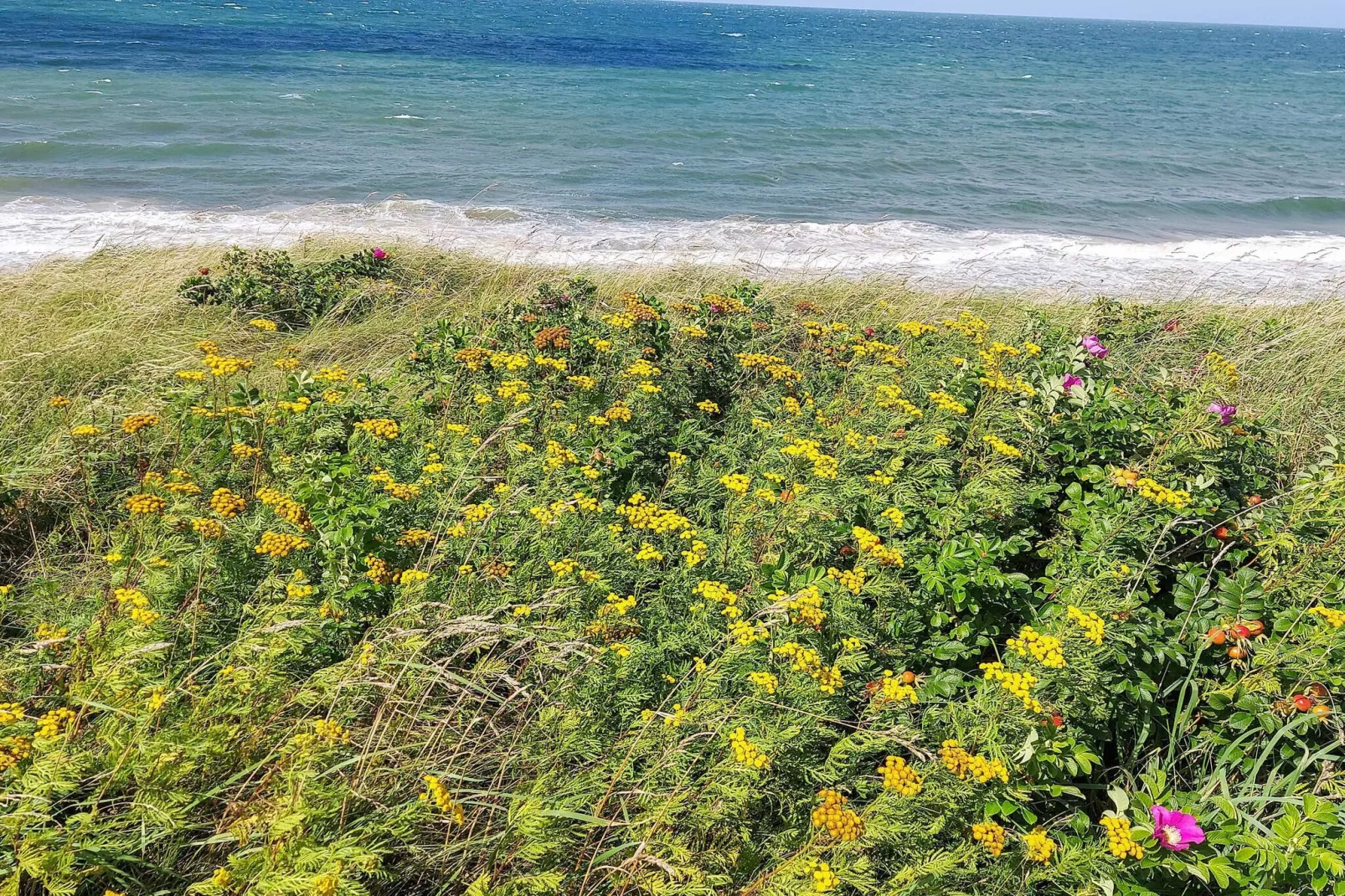 5 persoons vakantie huis in Gilleleje-By Traum-Waterzicht