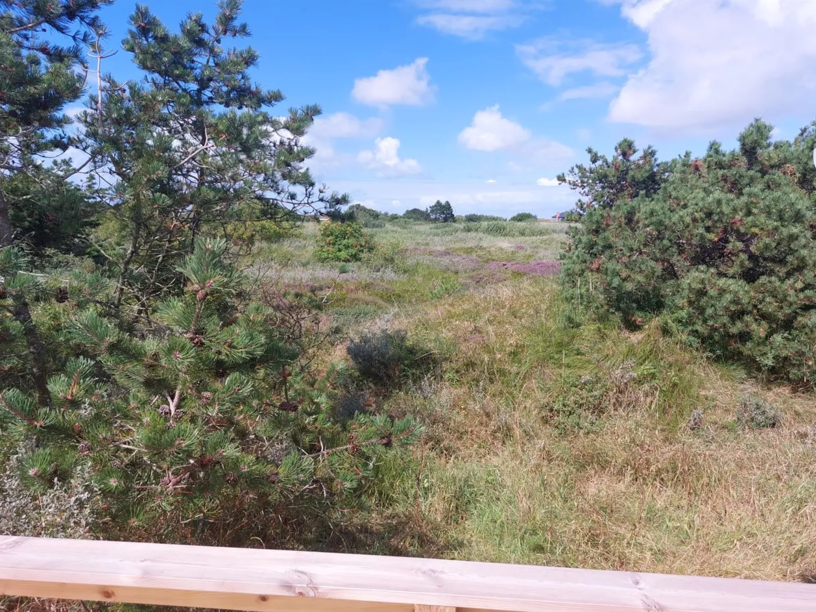 "Elgin" - 1.8km from the sea-Buiten