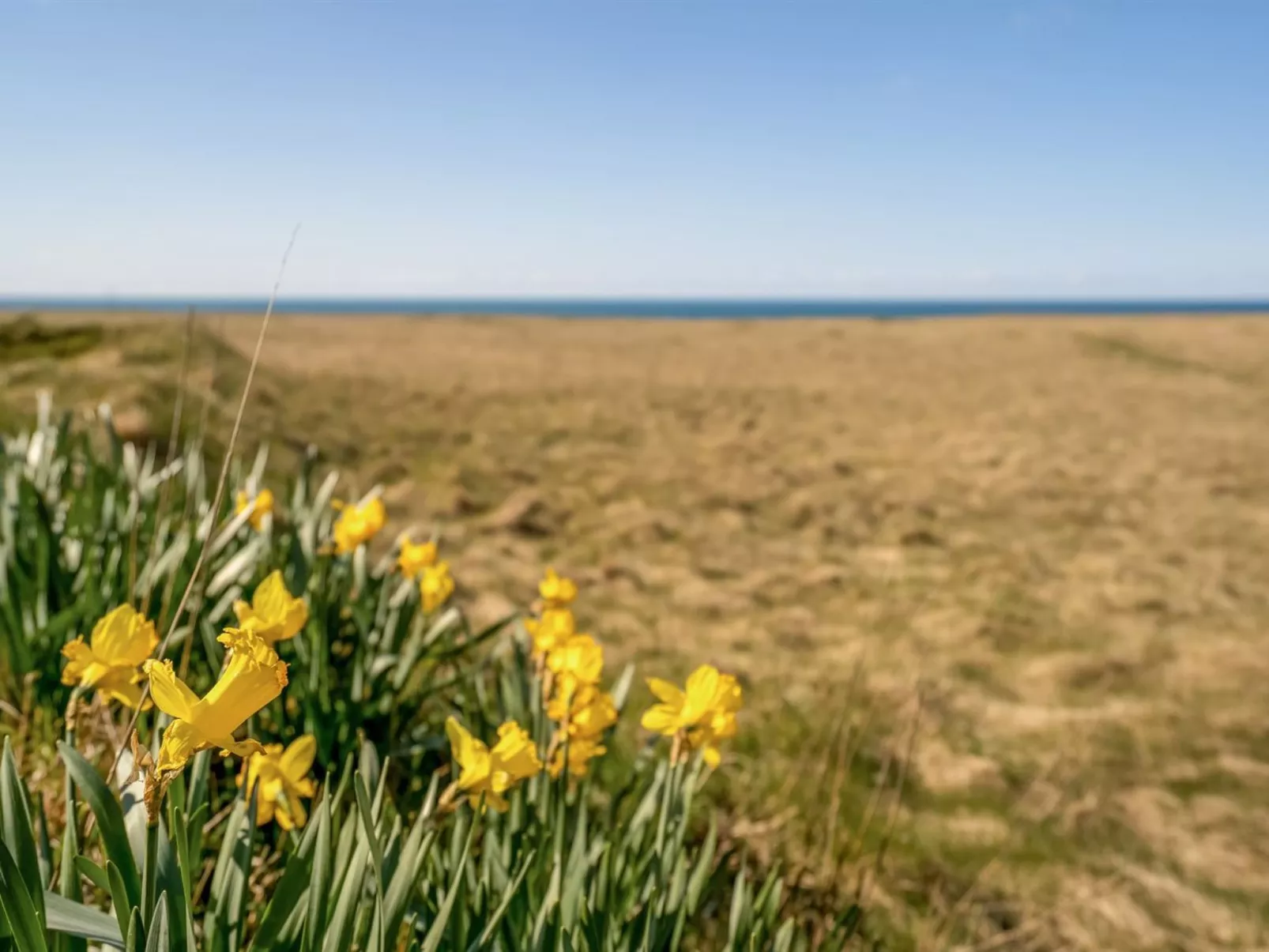 "Hedy" - 150m from the sea-Buiten