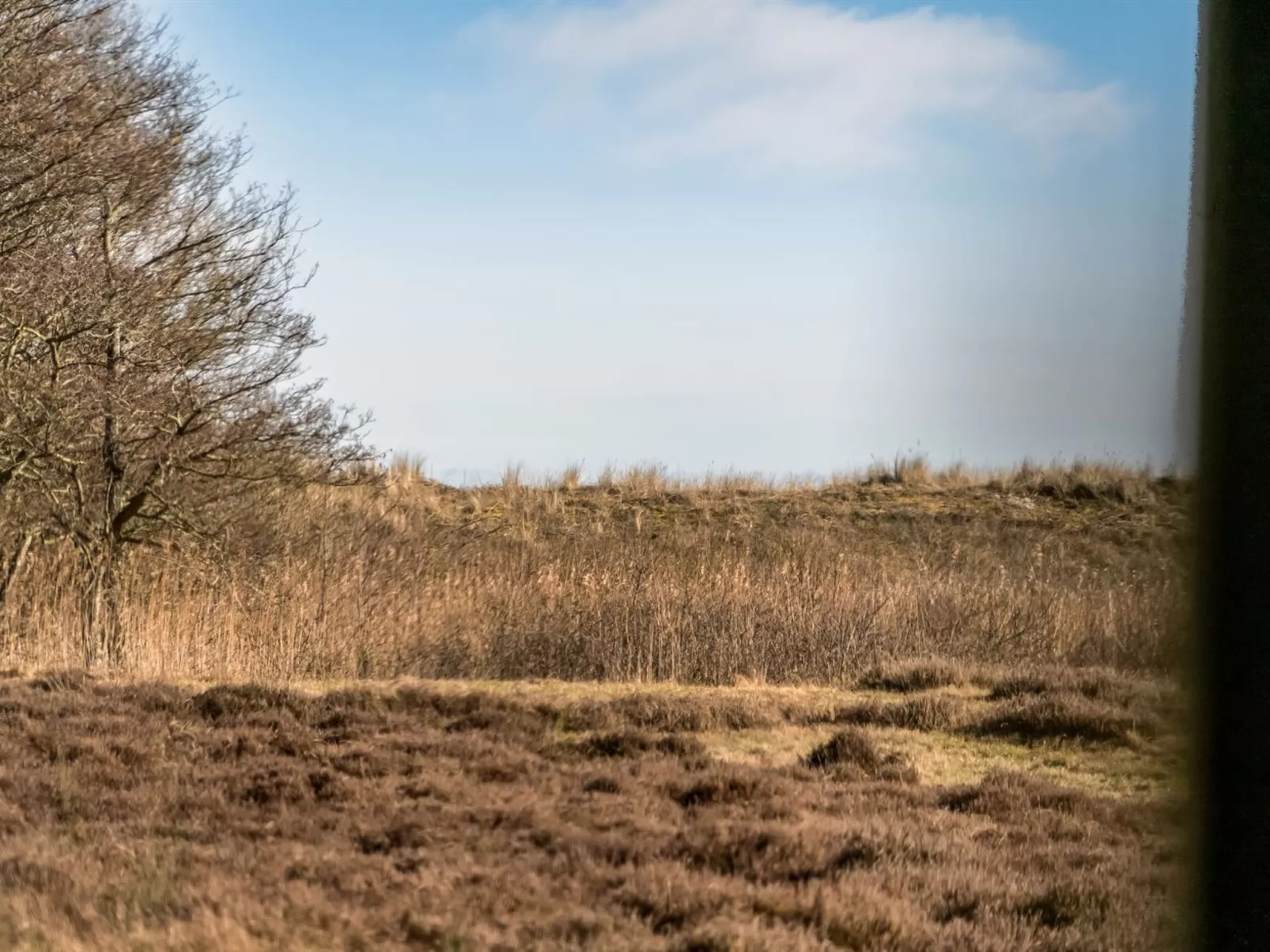 "Jyrki" - 100m from the sea-Buiten