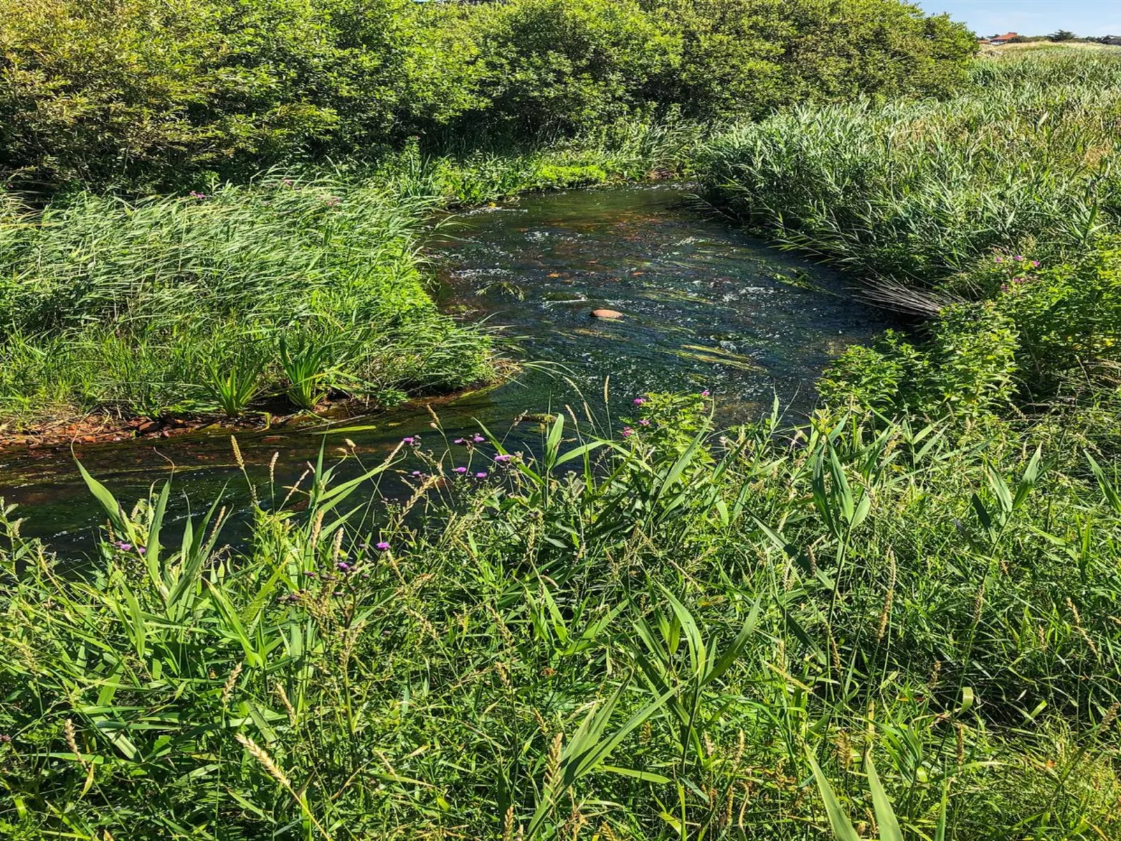 "Lökea" - 800m from the sea-Buiten
