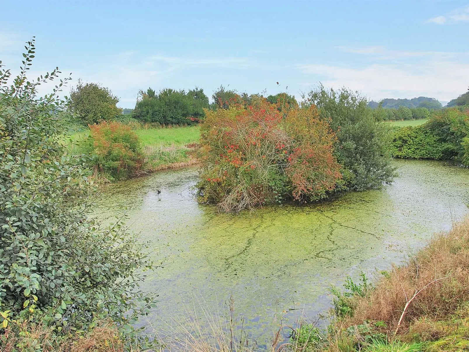 "Iorund" - 550m from the sea-Buiten