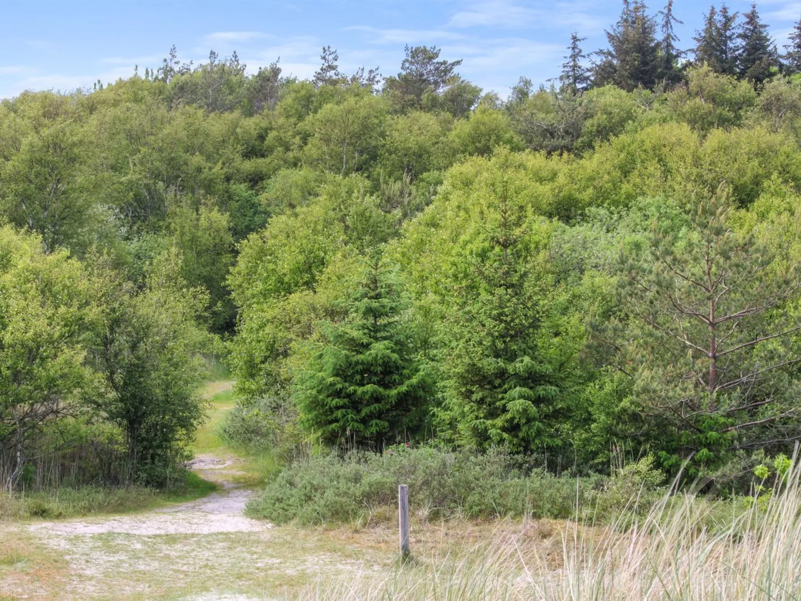 "Ingalise" - 500m from the sea-Buiten