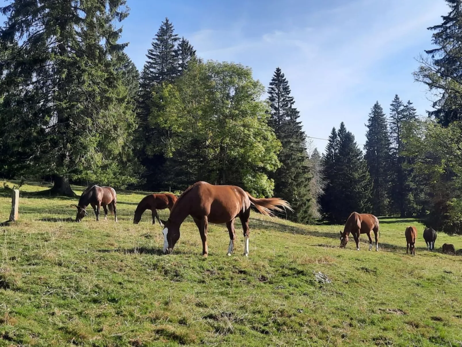 Maison de vacances - LM-Buiten