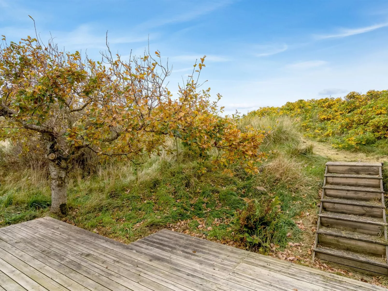 "Hunved" - 500m from the sea-Buiten