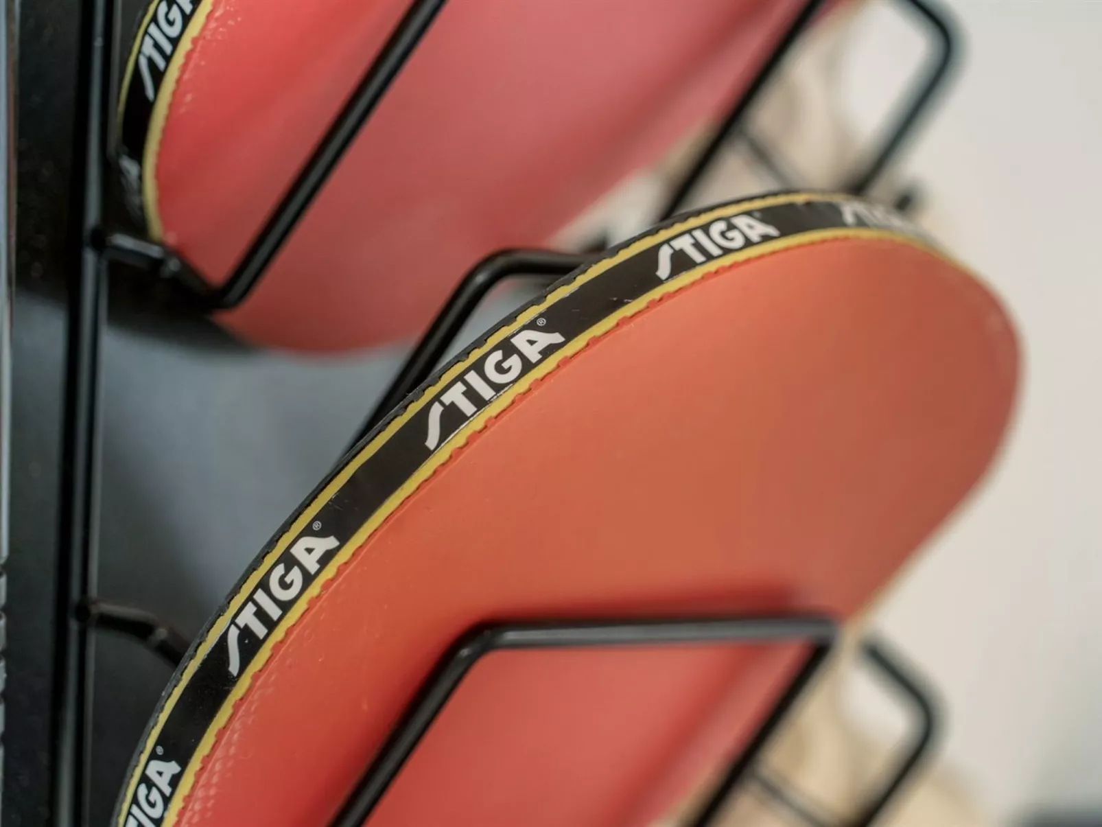 "Dwerg" - 1.5km from the sea-Binnen