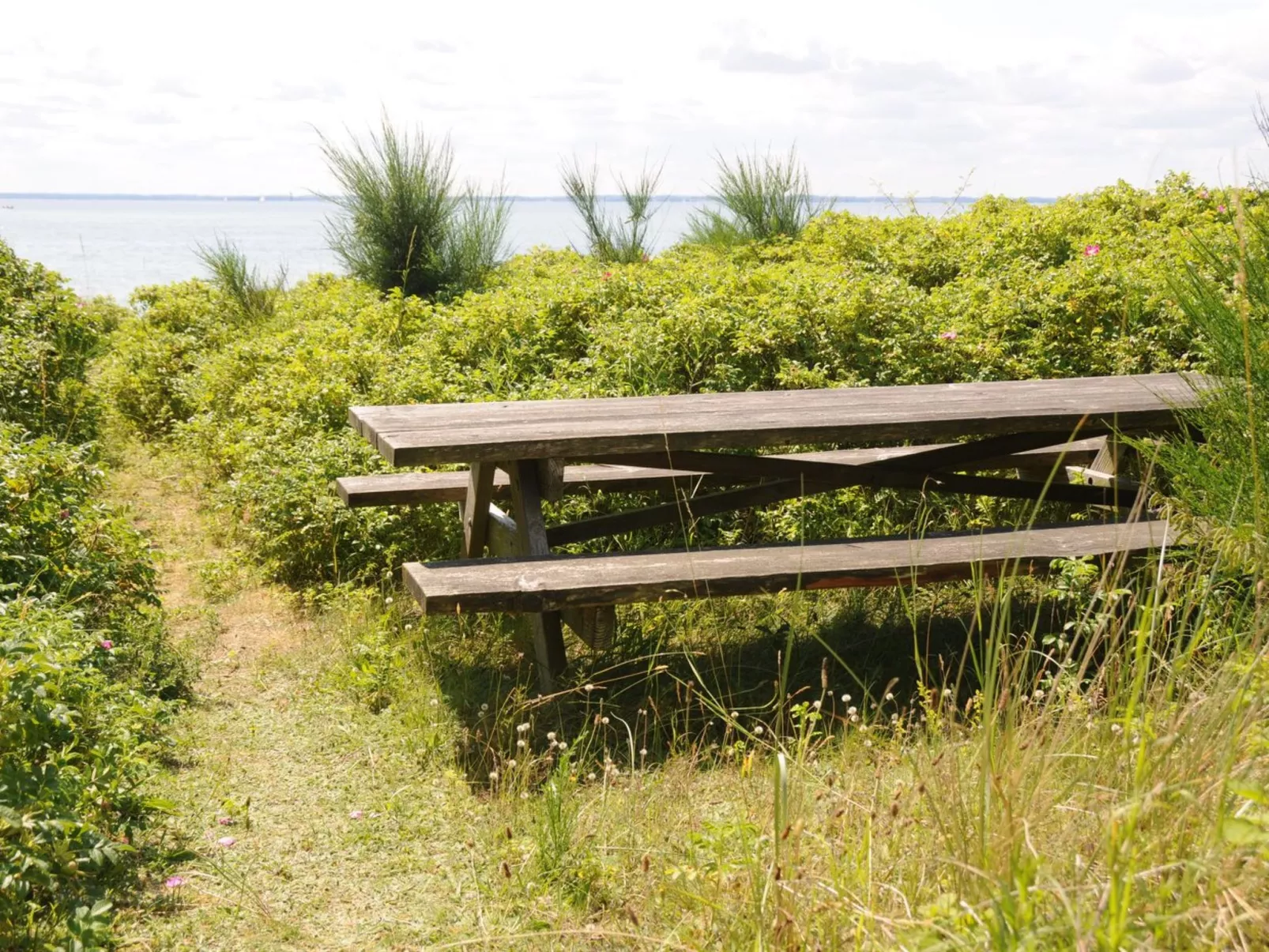 "Kalv" - 75m from the sea-Buiten