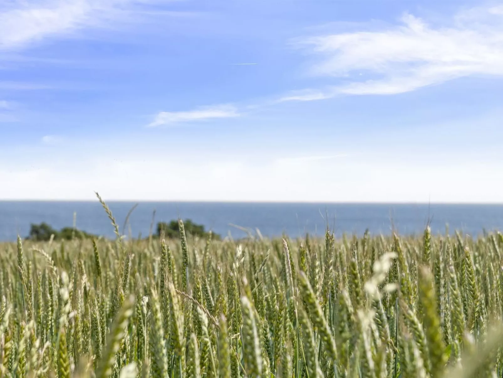 "Gunhilde" - 400m from the sea - Buiten