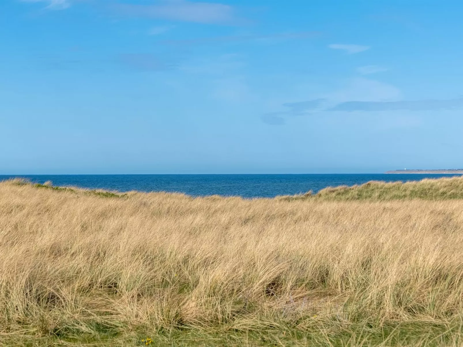 "Stintje" - 20m from the sea-Buiten