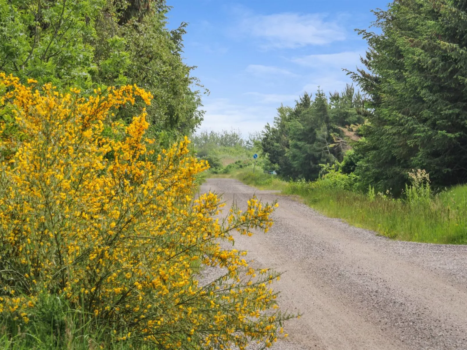 "Andria" - 300m from the sea-Buiten