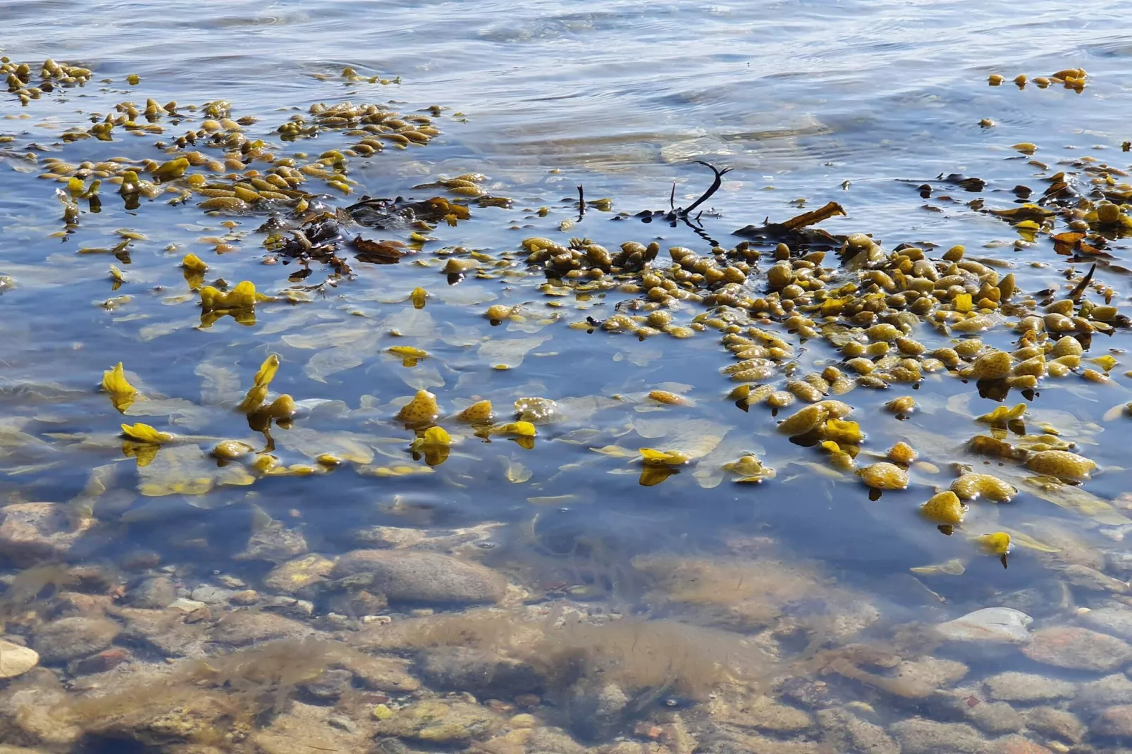 Sfeervolle retraite in Rorvig -- By Traum Ferienwohnungen - Waterzicht