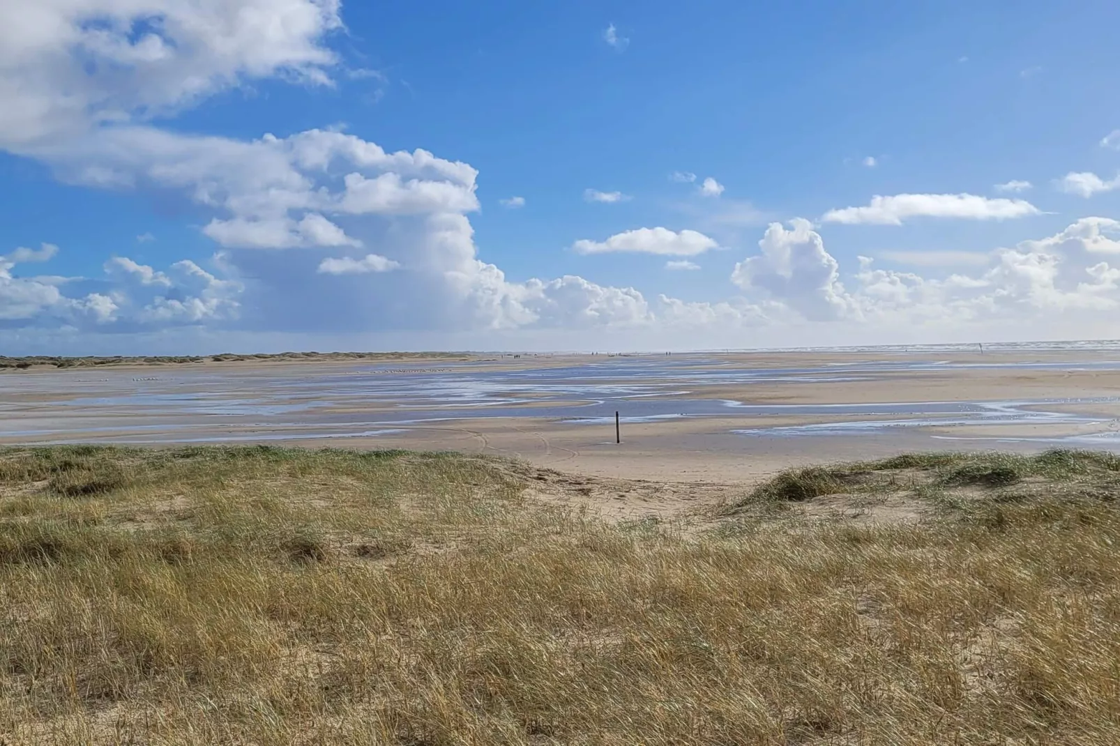 6 persoons vakantie huis in Fanø-By Traum